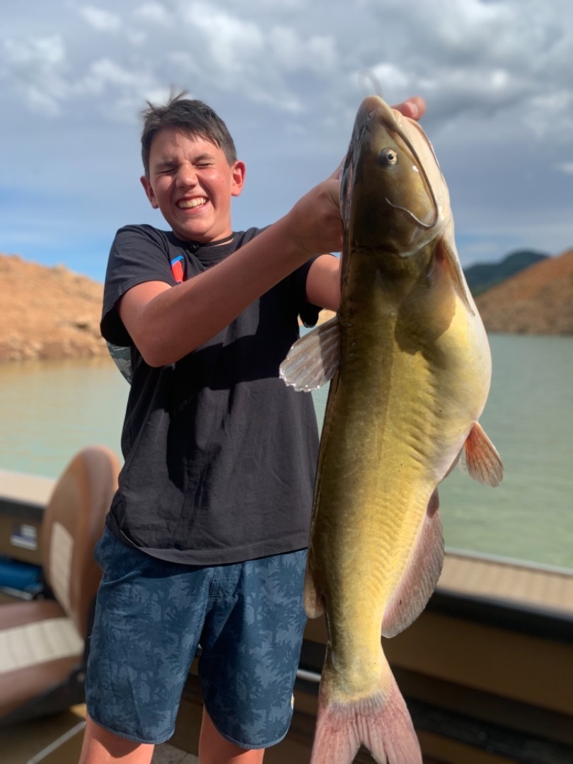 Spotted Bass Fishing on Shasta Lake