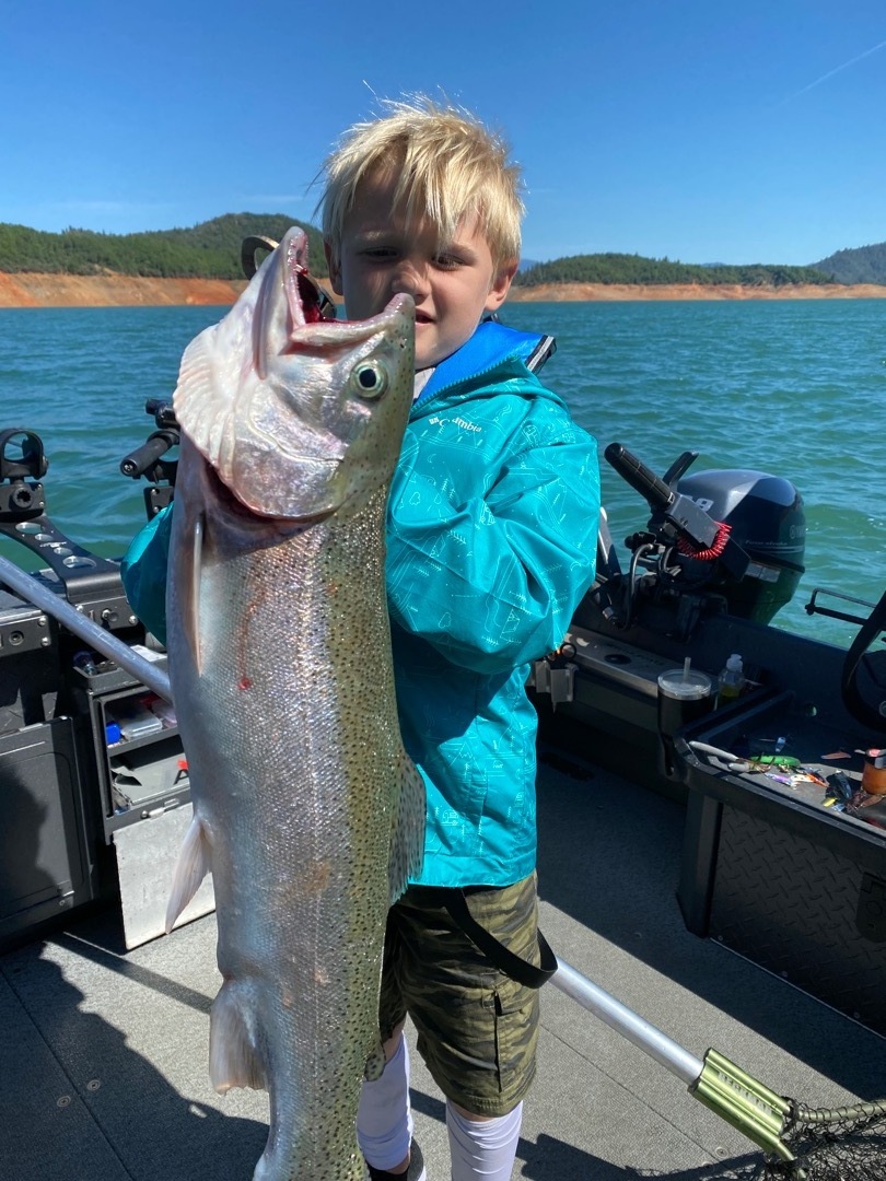 Big Shasta Lake rainbow trout showing up again!