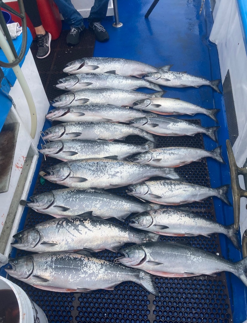 Salmon charter 