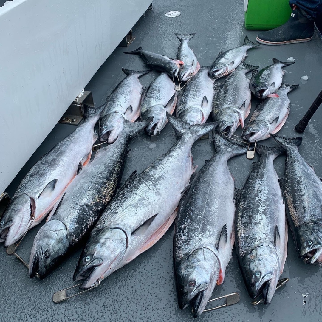 5-29-21 salmon