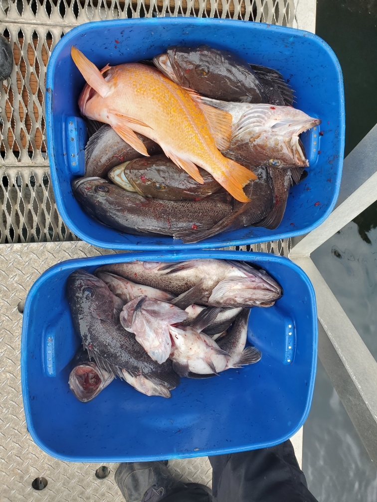 Good Weekend on The Fishing Grounds