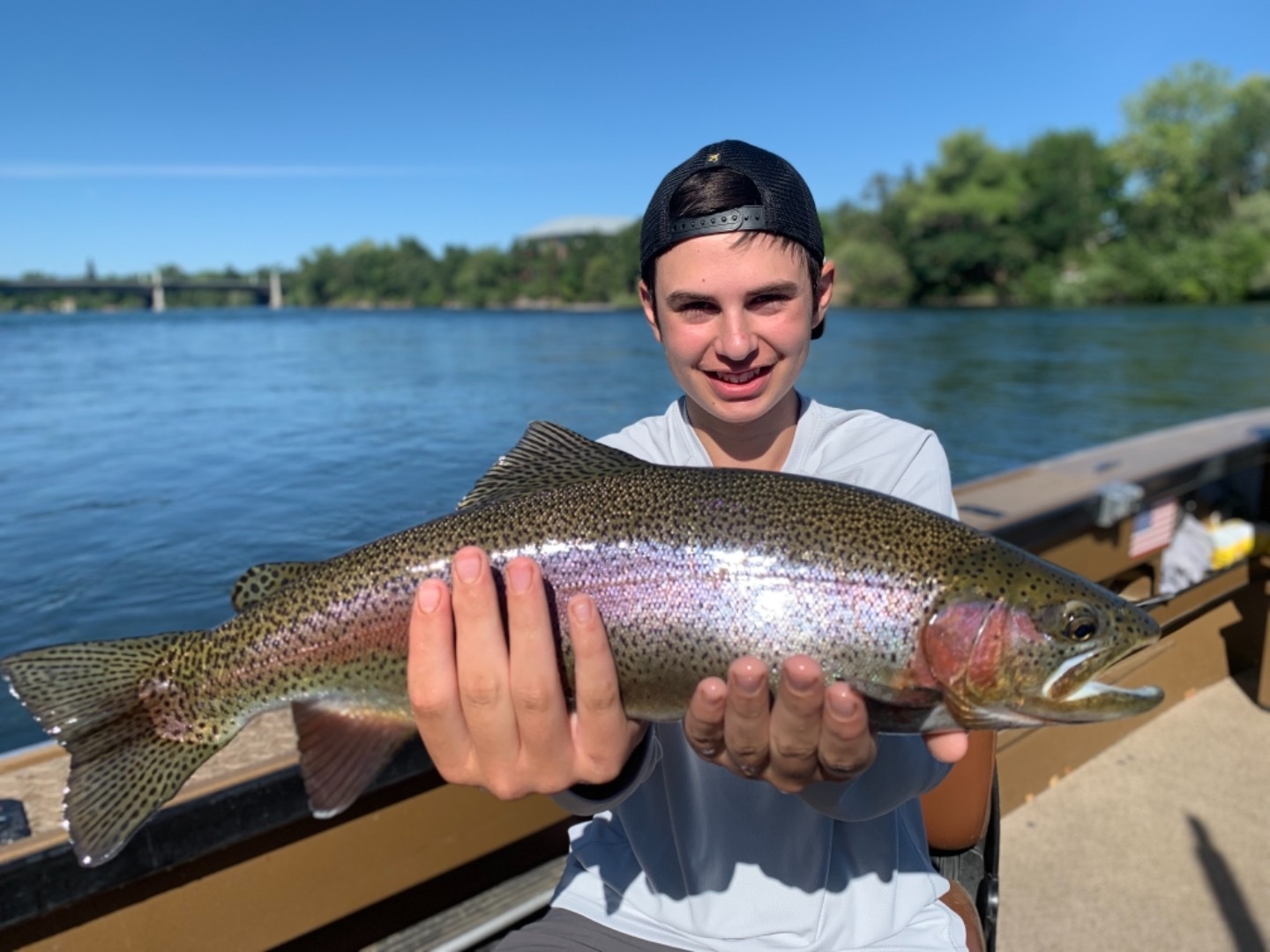 Sacramento River Rainbows 