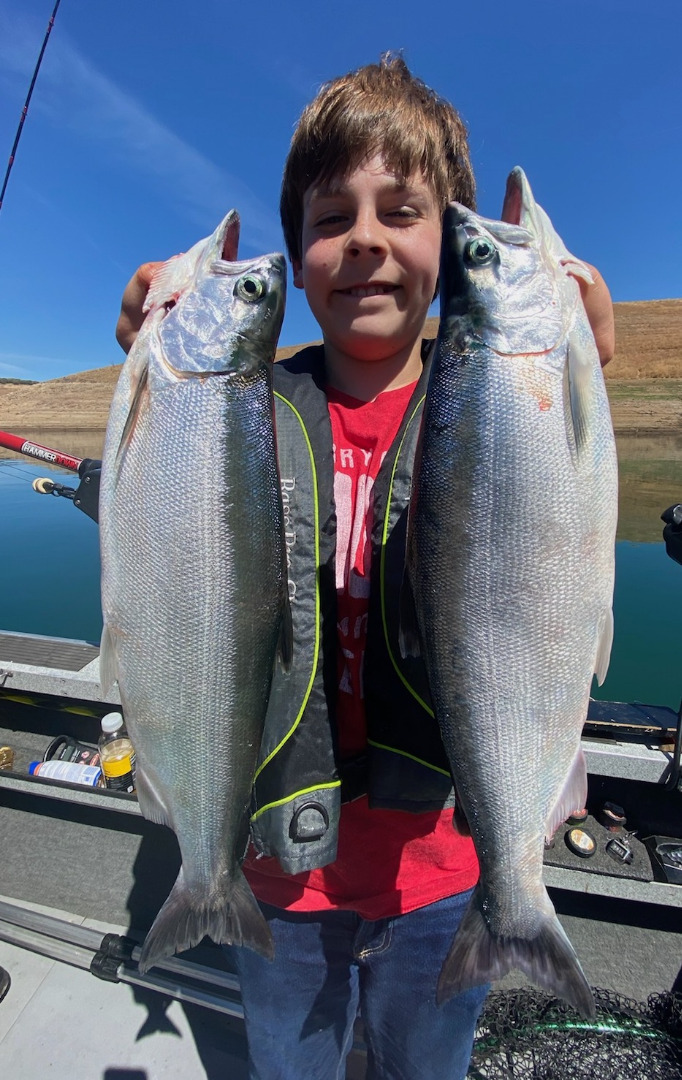 New Melones Fishing Report