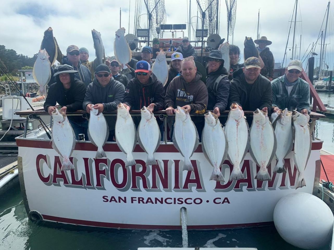 BIG Halibut Today