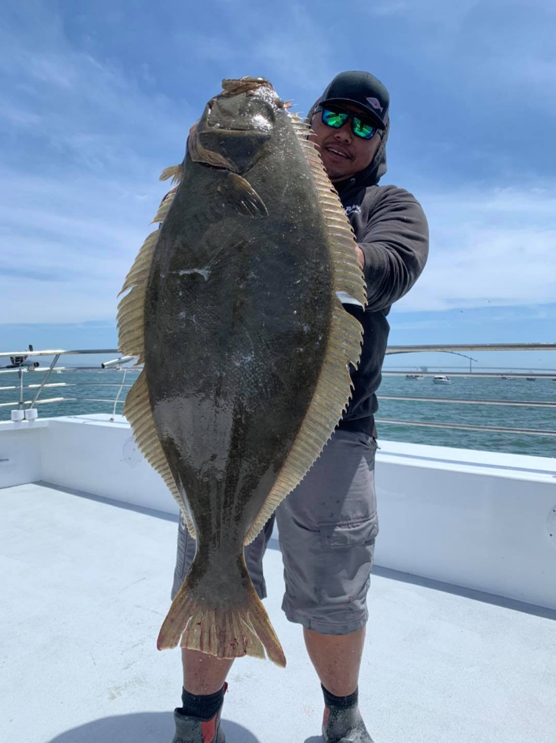 JUMBO Halibut Today