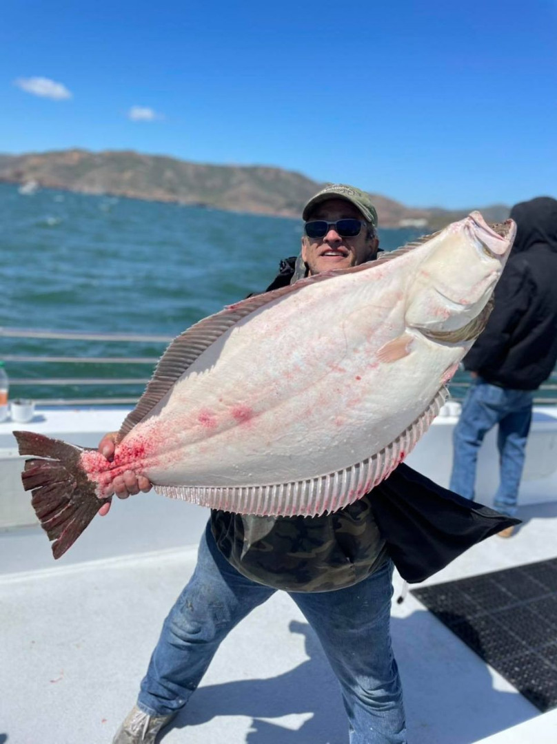 Halibut up to 38lbs. 