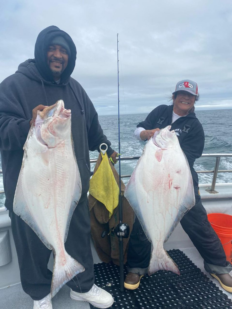 Pacific Halibut Up to 25 lbs. 