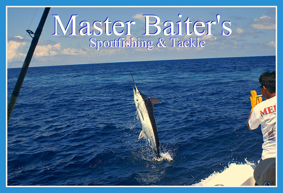 Conditions Improve, Water Temps Up, Rooster Fish, Dorado & Marlin - Master  Baiter's Sport Fishing & Tackle Puerto Vallarta