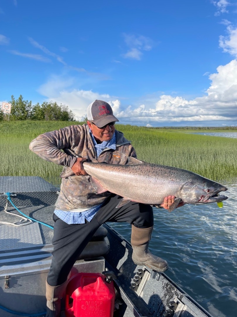 Salmon poised to run up Sacramento River!