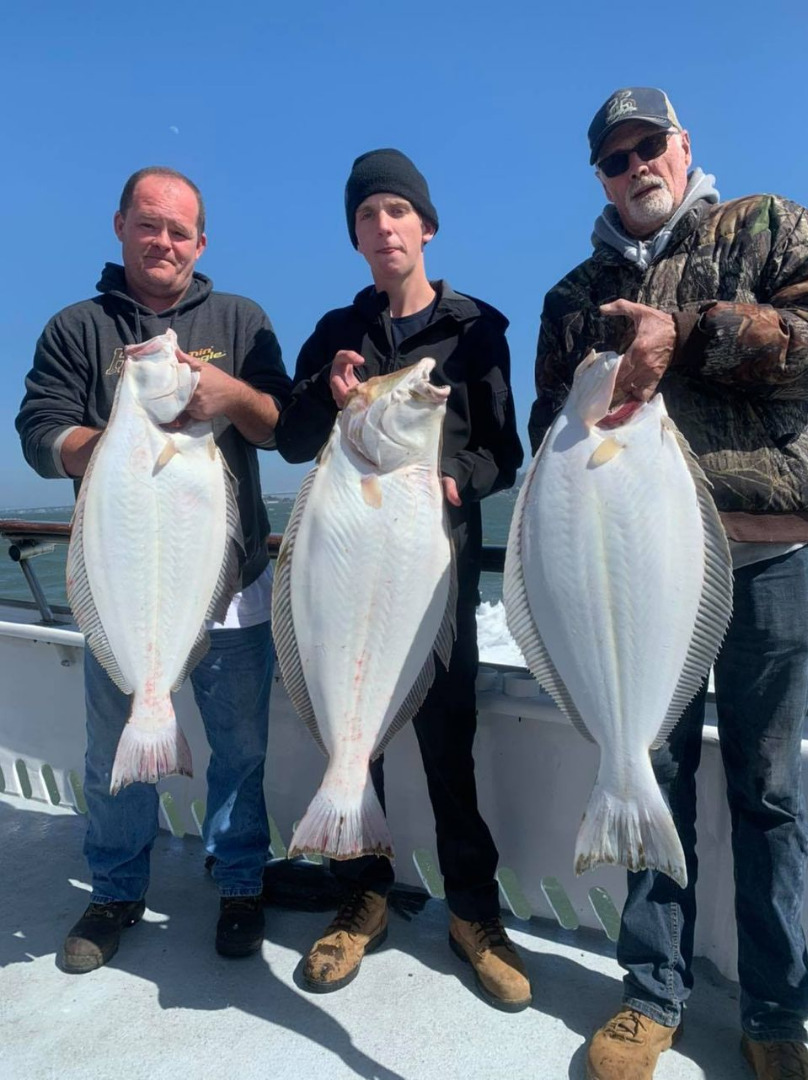 Halibut Fishing Today