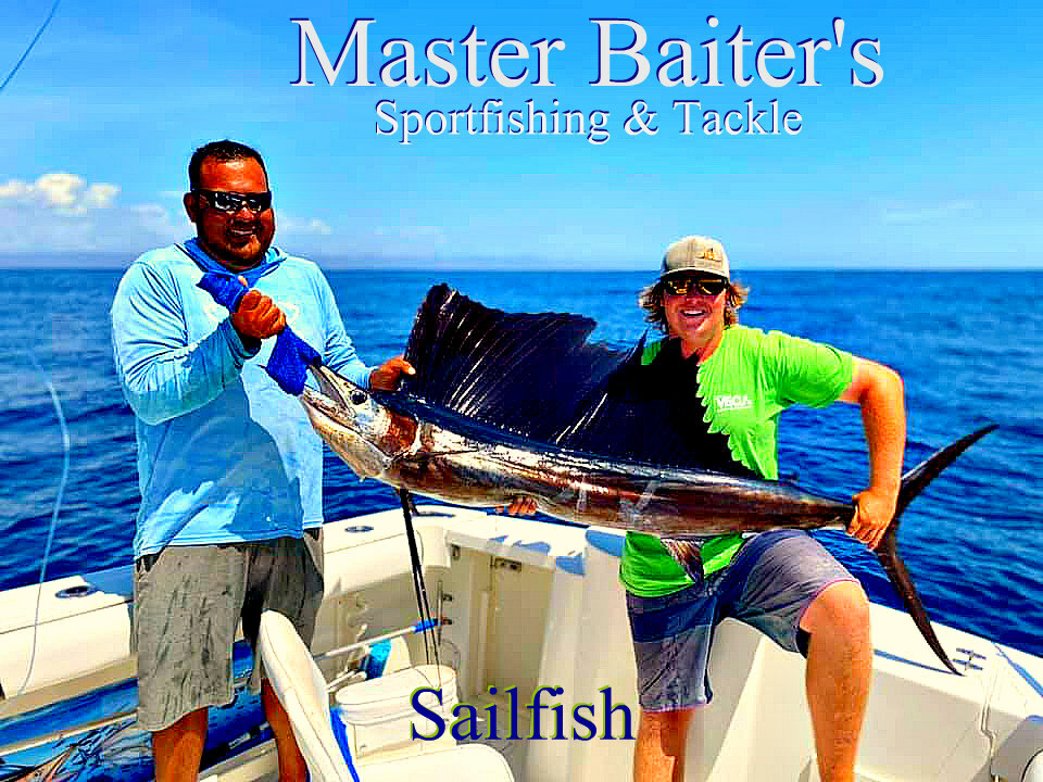 Puerto Vallarta Fishing Charters - Master Baiter's Sport Fishing & Tackle  Puerto Vallarta