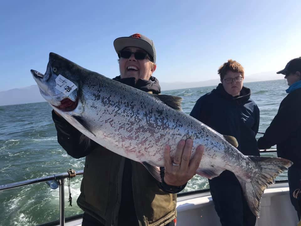 Salmon Limits up to 22lbs.
