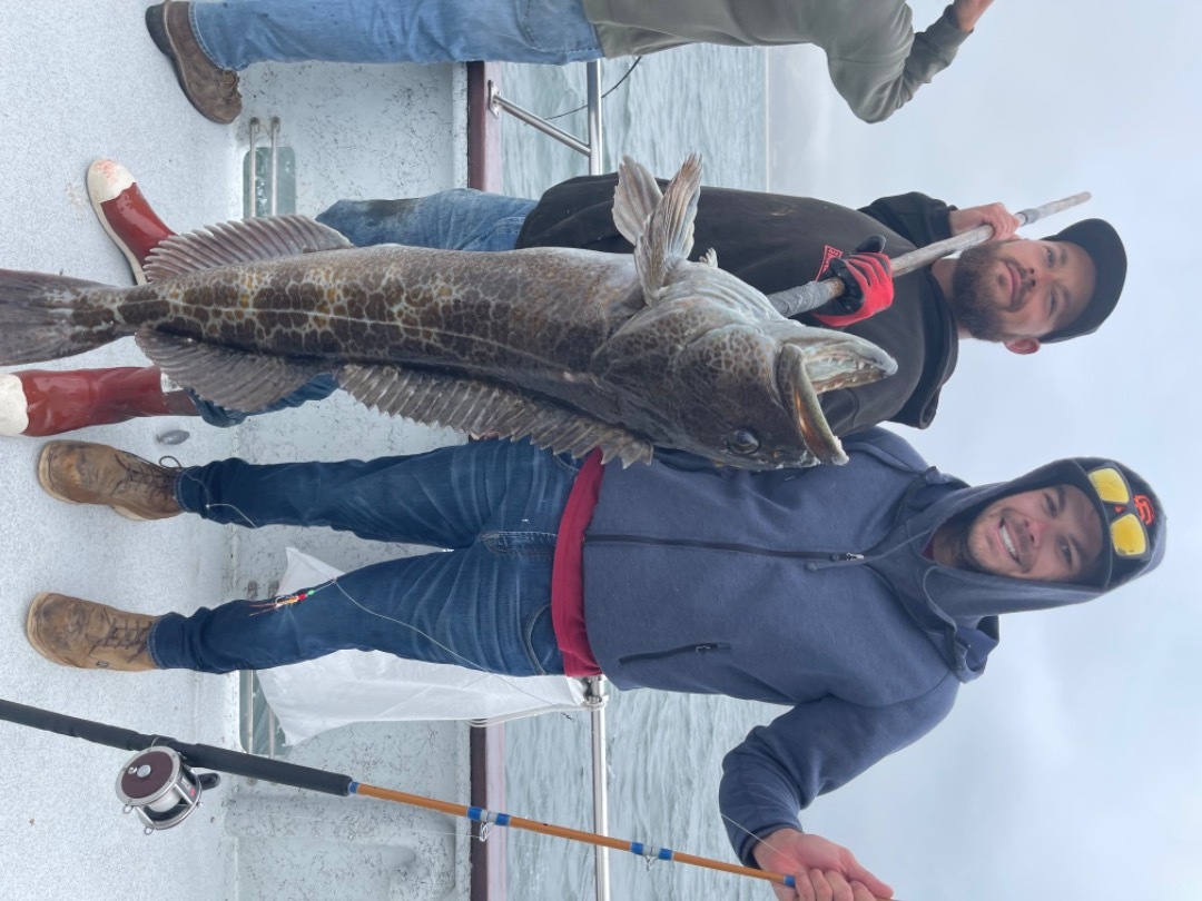 Coastal rockfish and halibut 