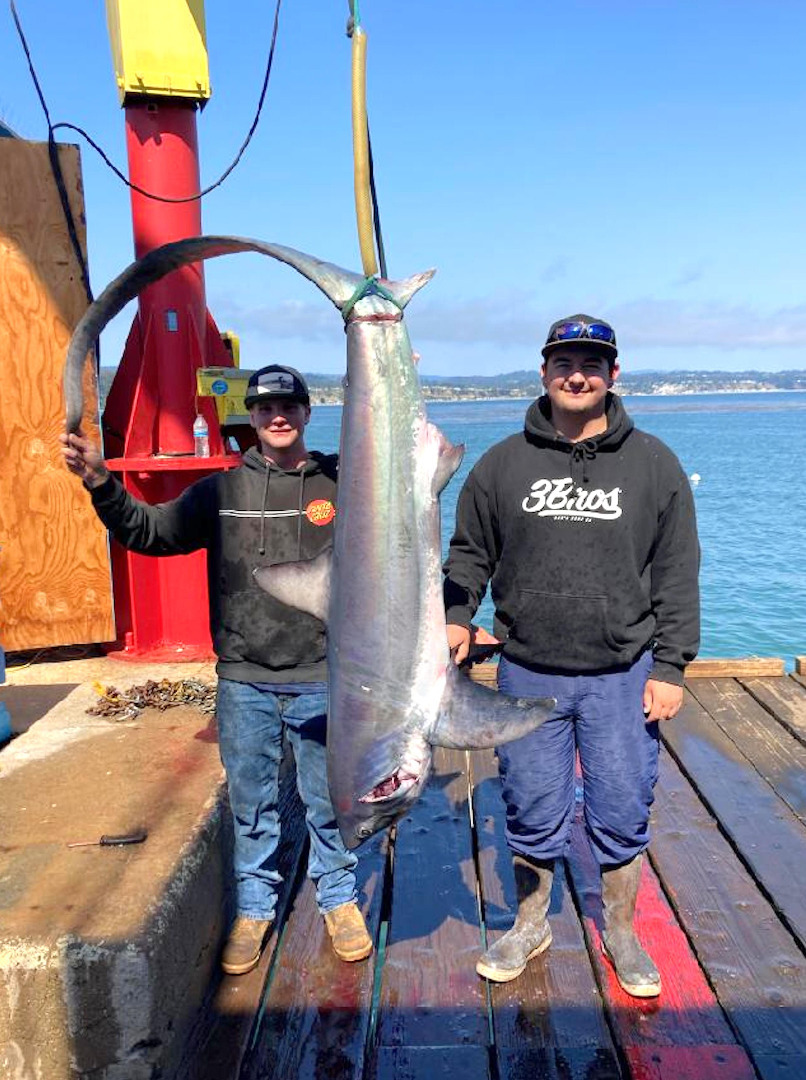 First bluefin tuna report in; Monterey Bay sees increase in ‘warm-water’ fish 