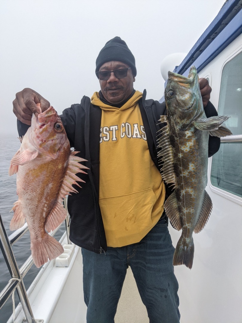 Jumbo rock fish limits again !