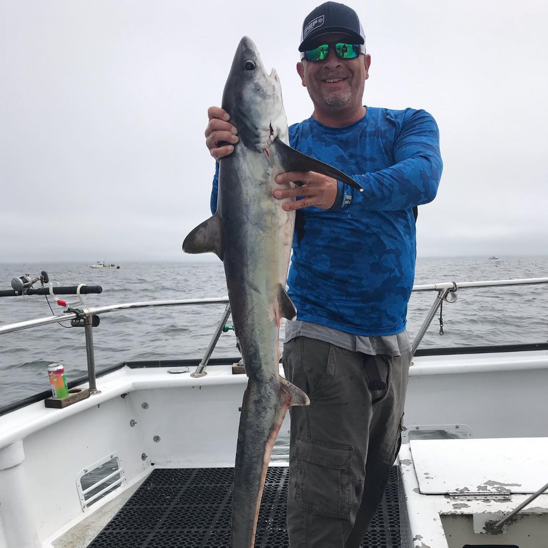 Box of Salmon Plus a Thresher