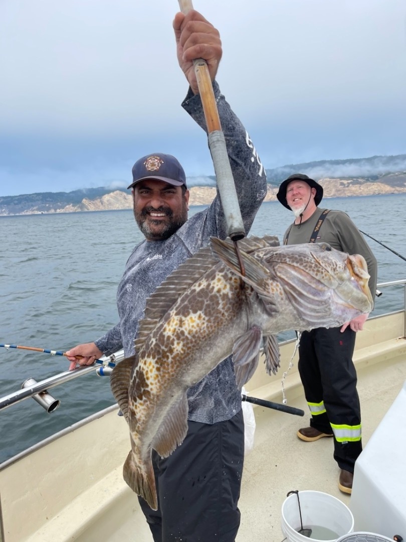 Coastal rockfish