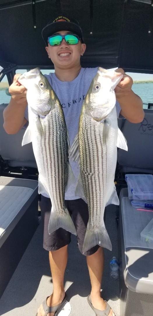 Delta Stripers HOT! 