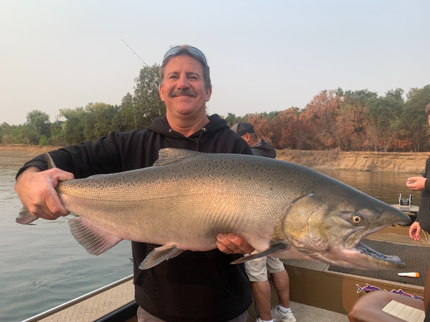 Big King Salmon on the Sacramento River