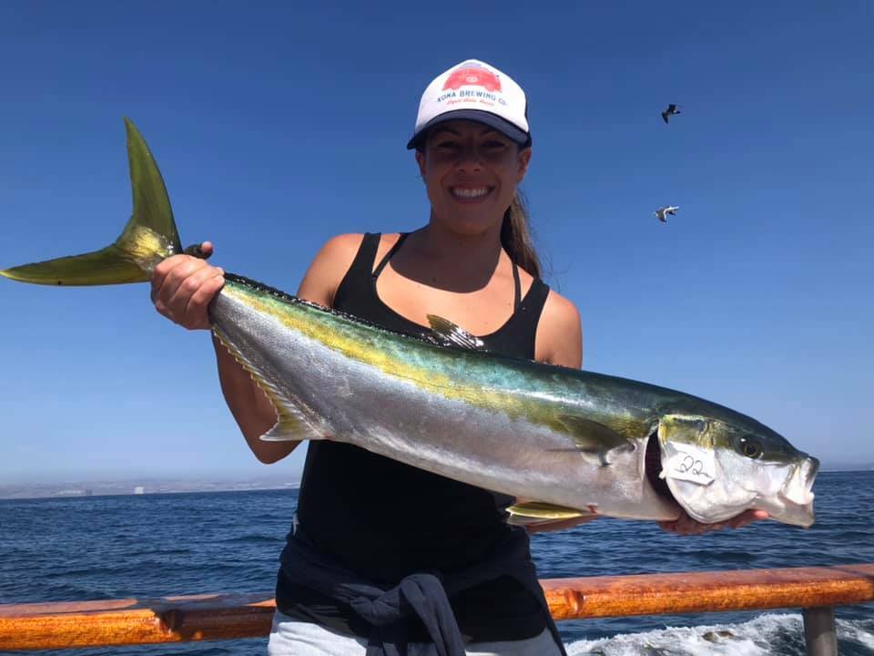 Fish Report - 100 Plus Yellowtail Today