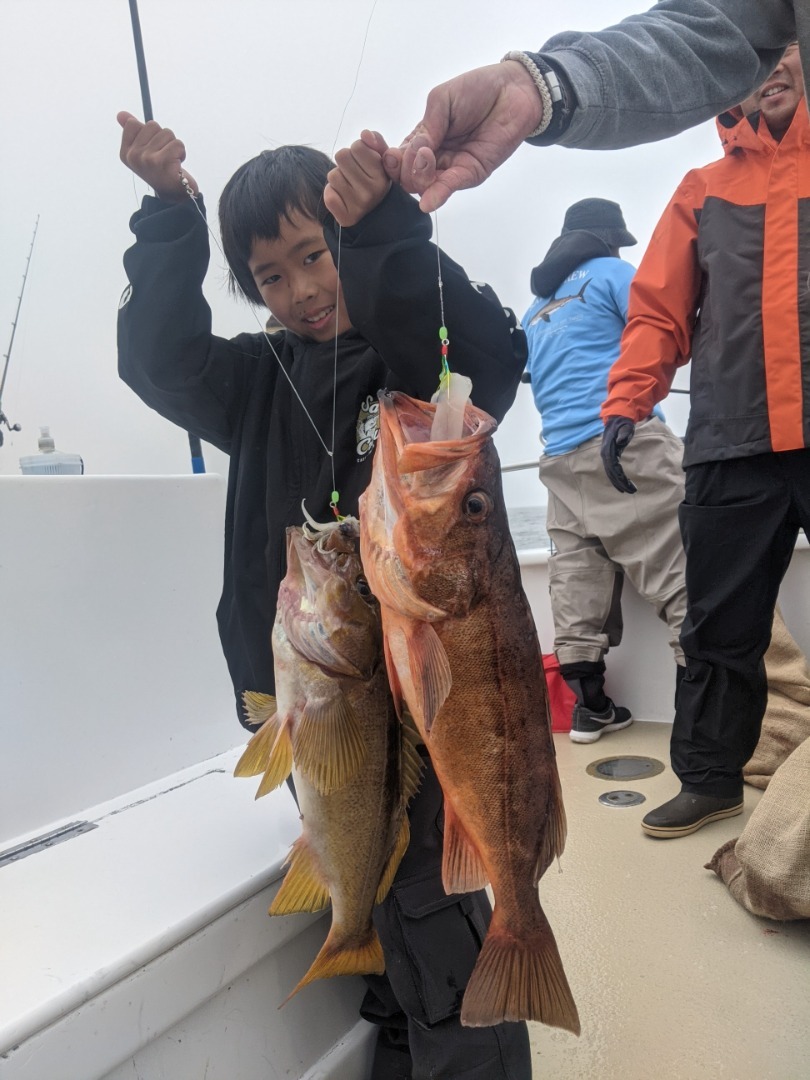 Amazing Local Rock Fishing 