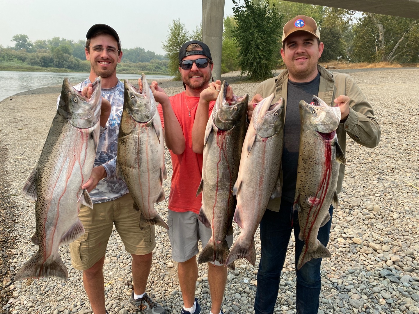 Salmon continue to move up the Sacramento River