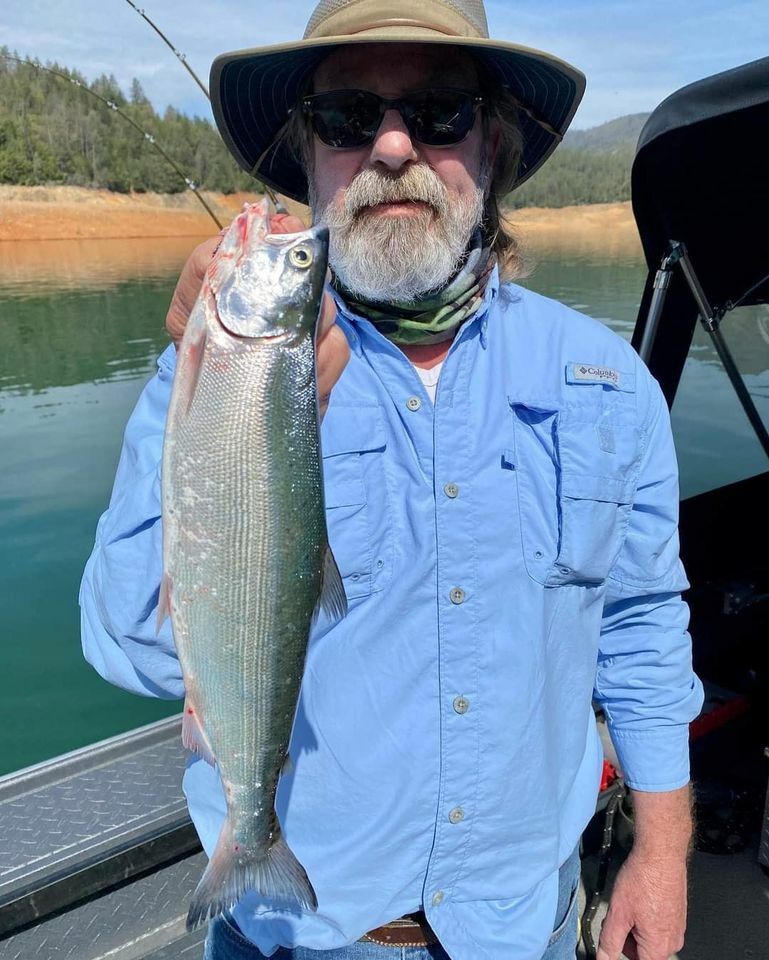 Action is Hot For Kokanee on Shasta Right Now