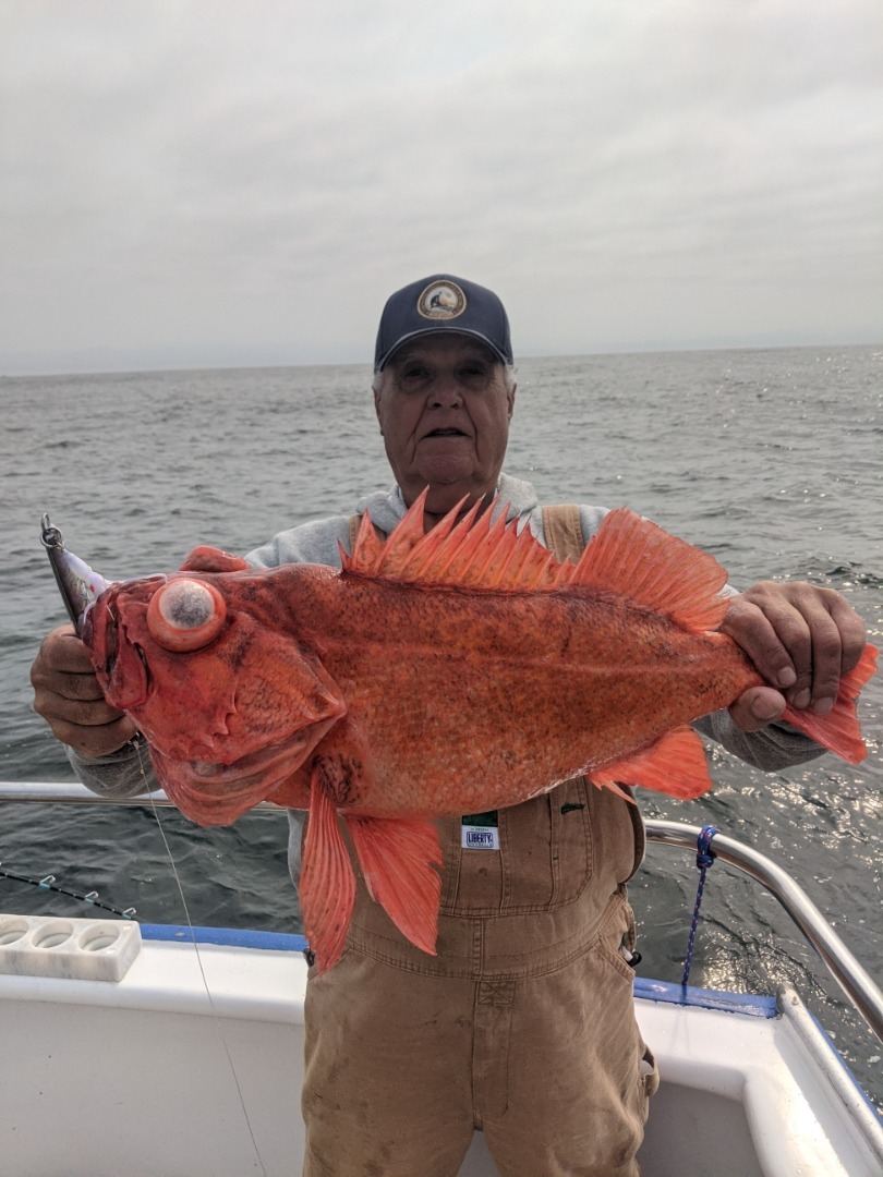 Epic Local Rock Fishing 