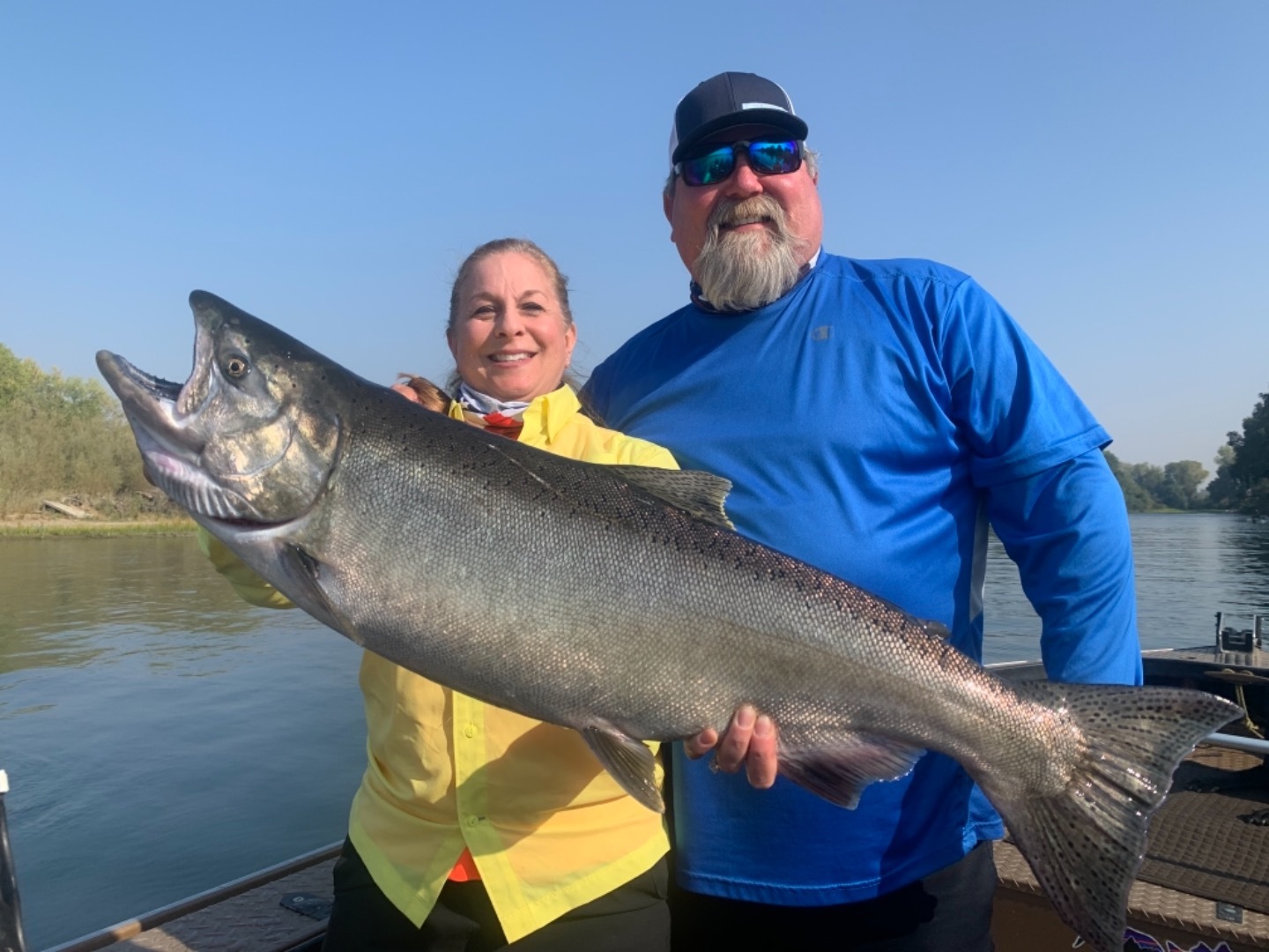 Giant King Salmon Are Here