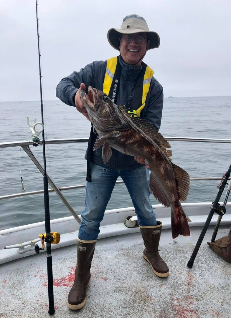 Farallon Islands Today