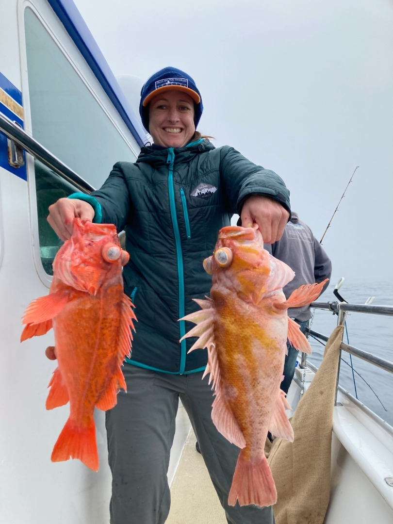 Jumbo Rock Cod limits .