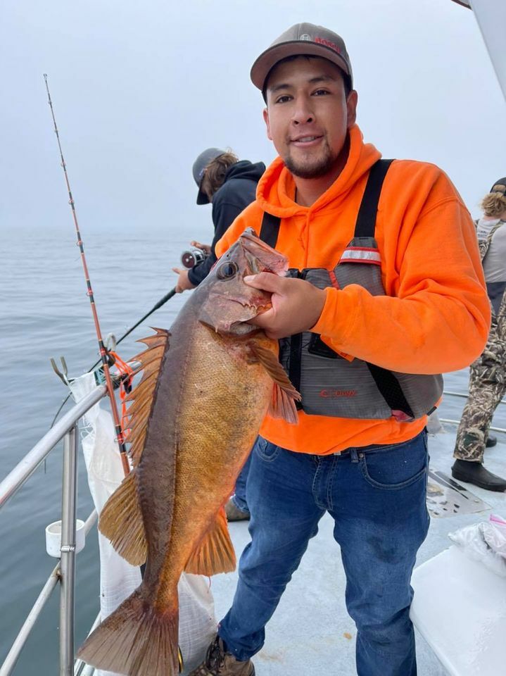 More Wide Open rockfish and lingcod action
