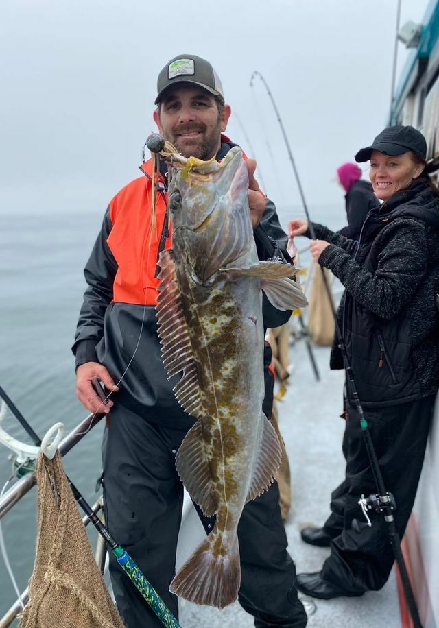 Lingcod and Rockfish Limits