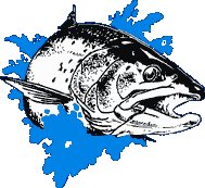 Bluefin Biting Near Monterey