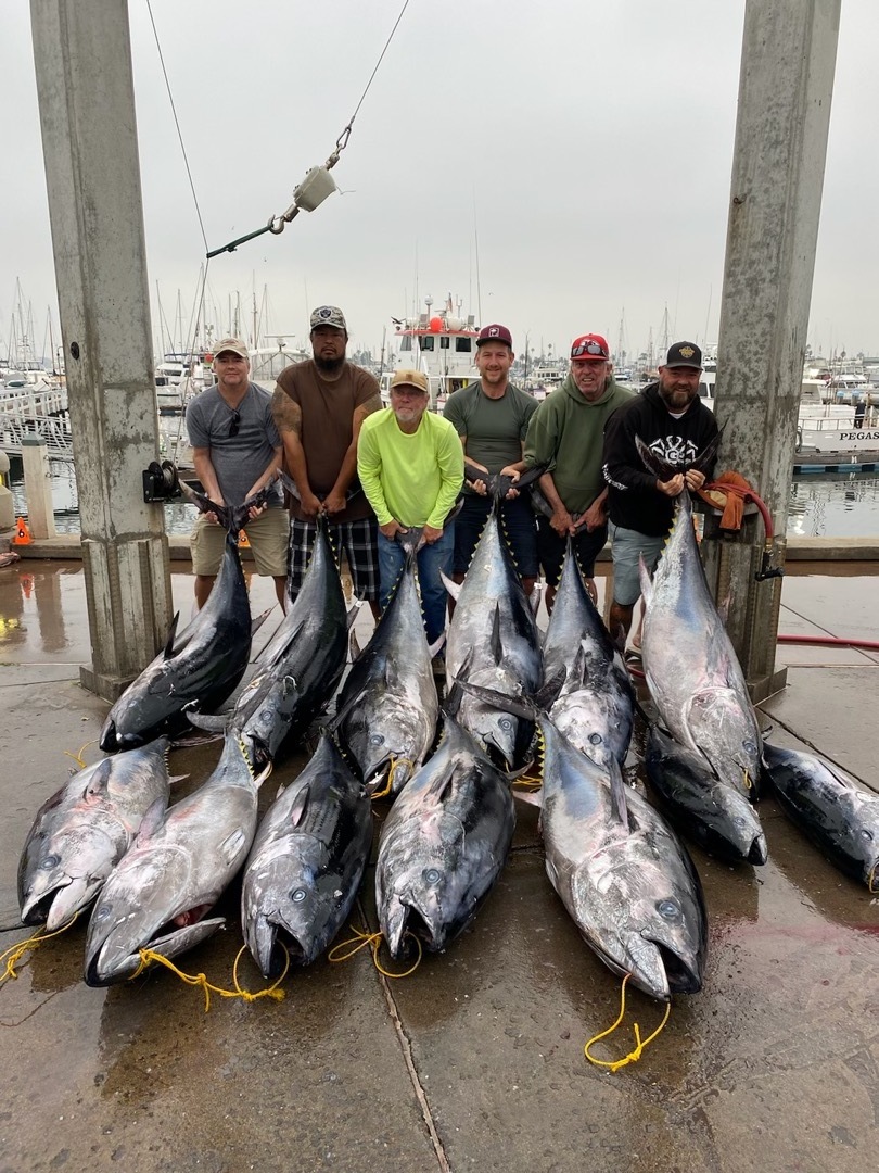 Kelp Bed Fishing