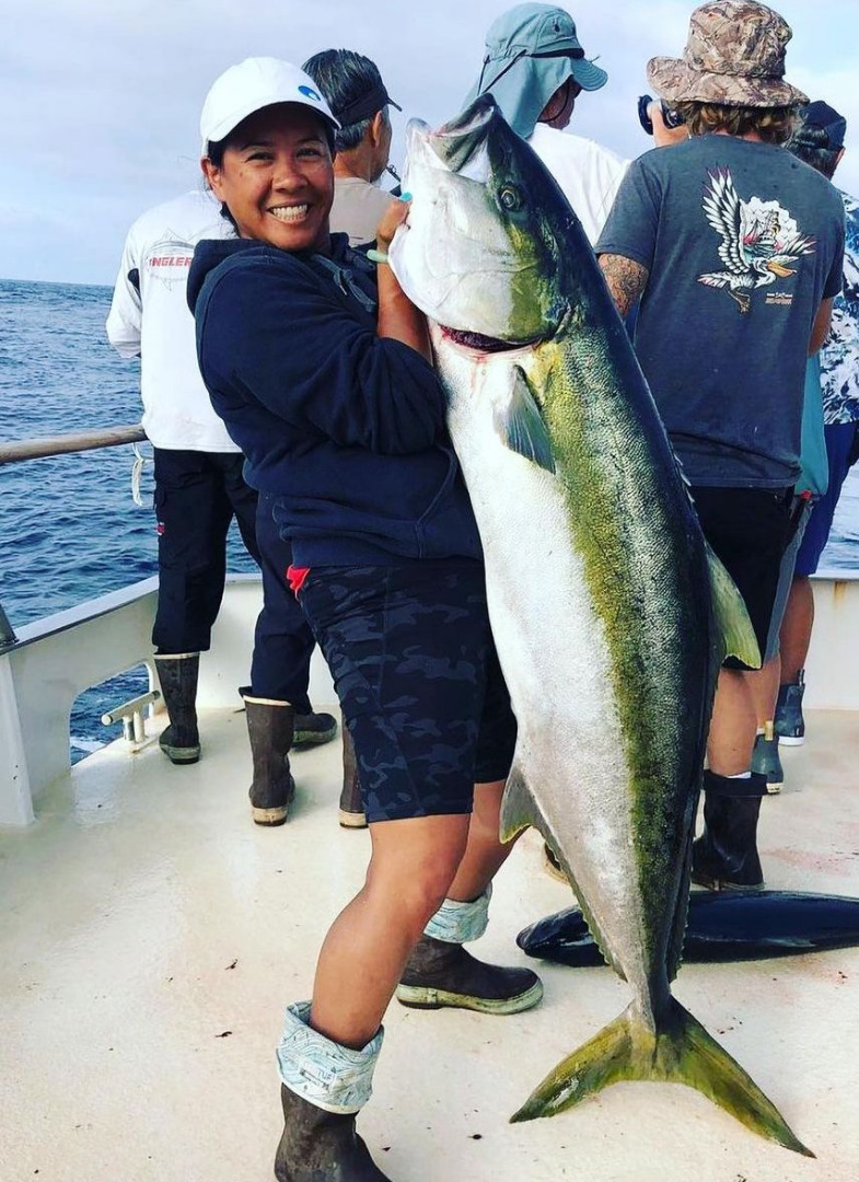 Yellowtail - SHOGUN SPORTFISHING