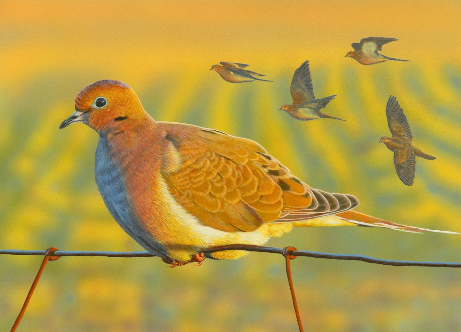 CDFW Seeks Artists to Enter California Upland Game Bird Stamp Art Contest