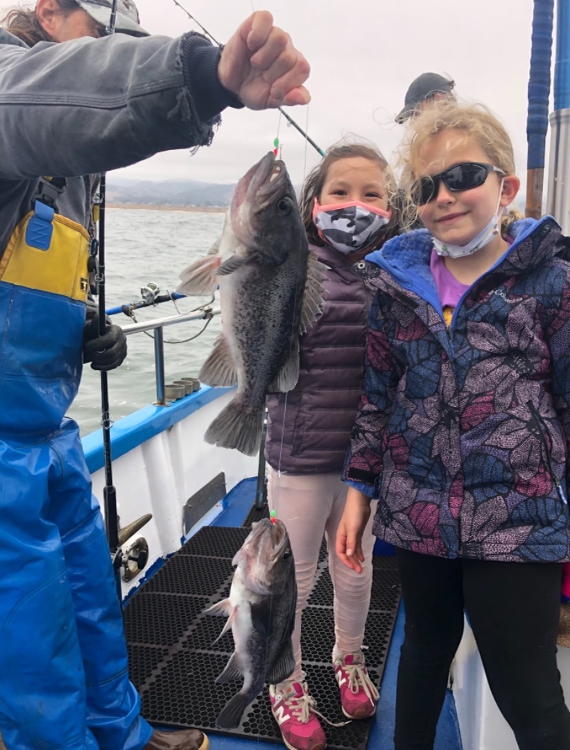 Rock fishing with kids