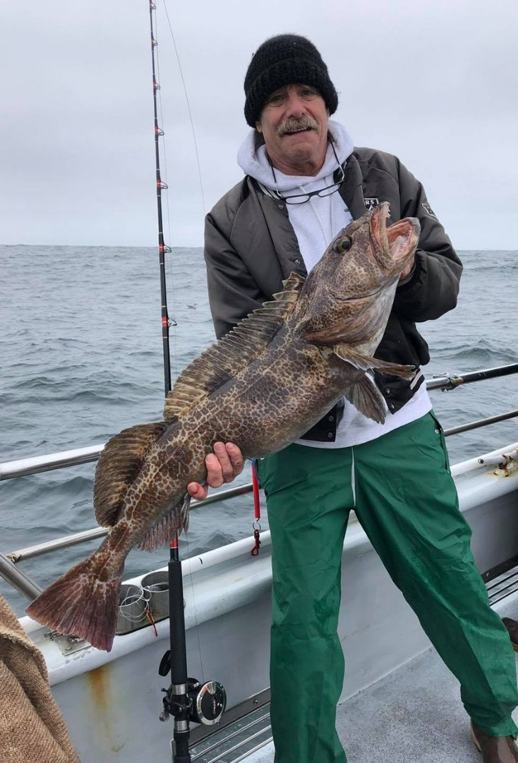 Great Day at The Farallon Islands