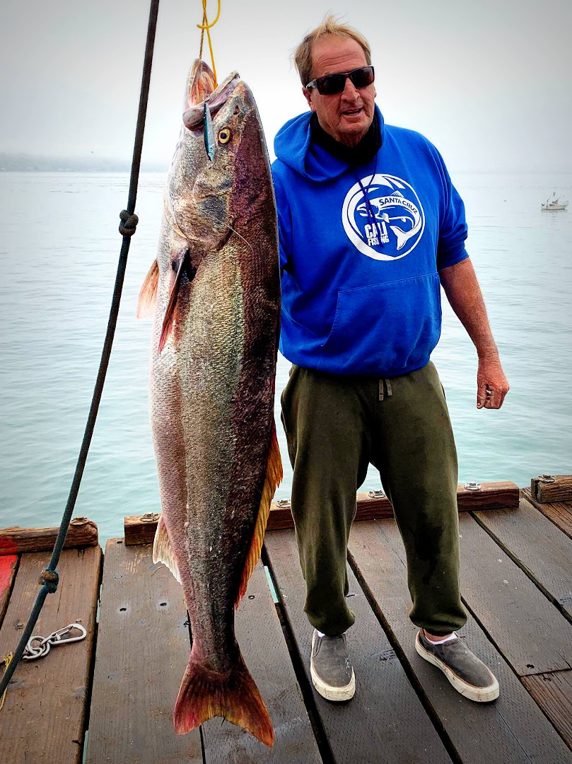 Bluefin tuna bite hasn’t materialized, but other trophy fish are out there 