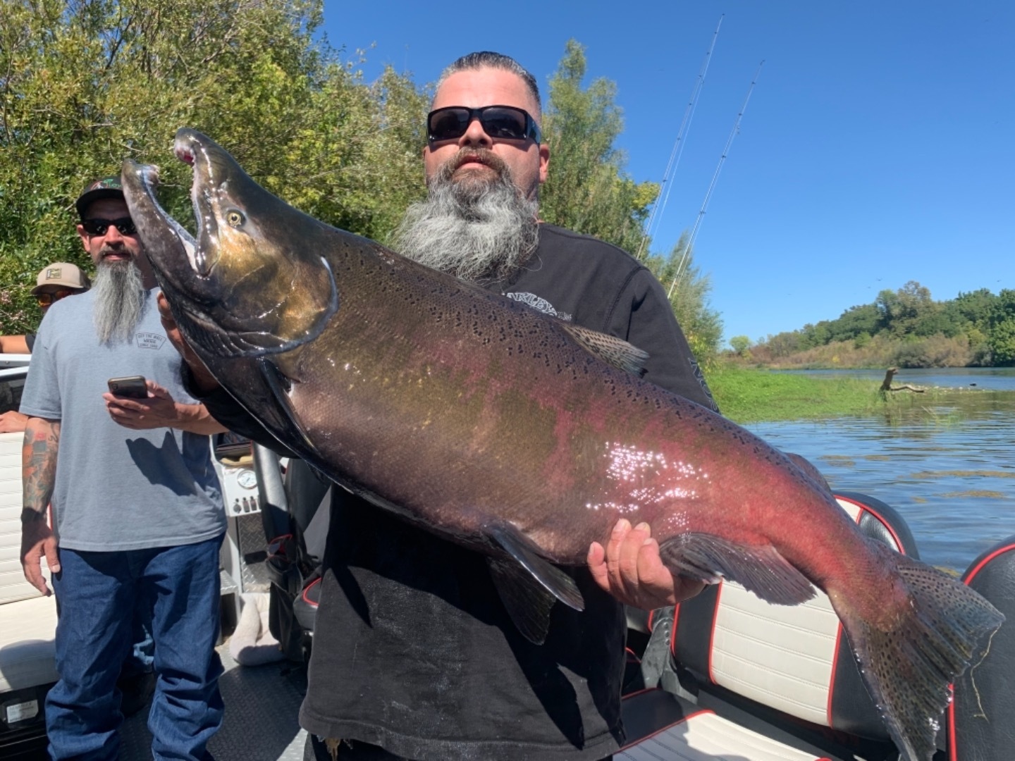 Giant King Salmon!