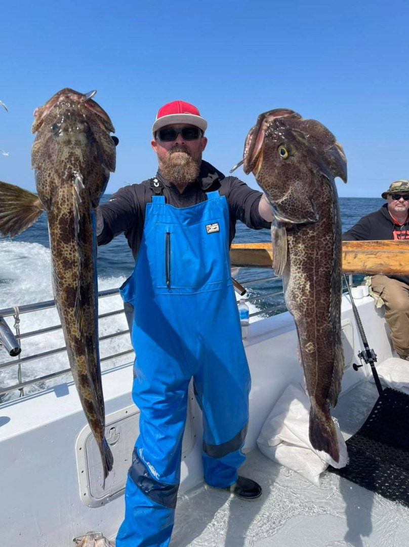 More incredible action from the Farallon islands today!