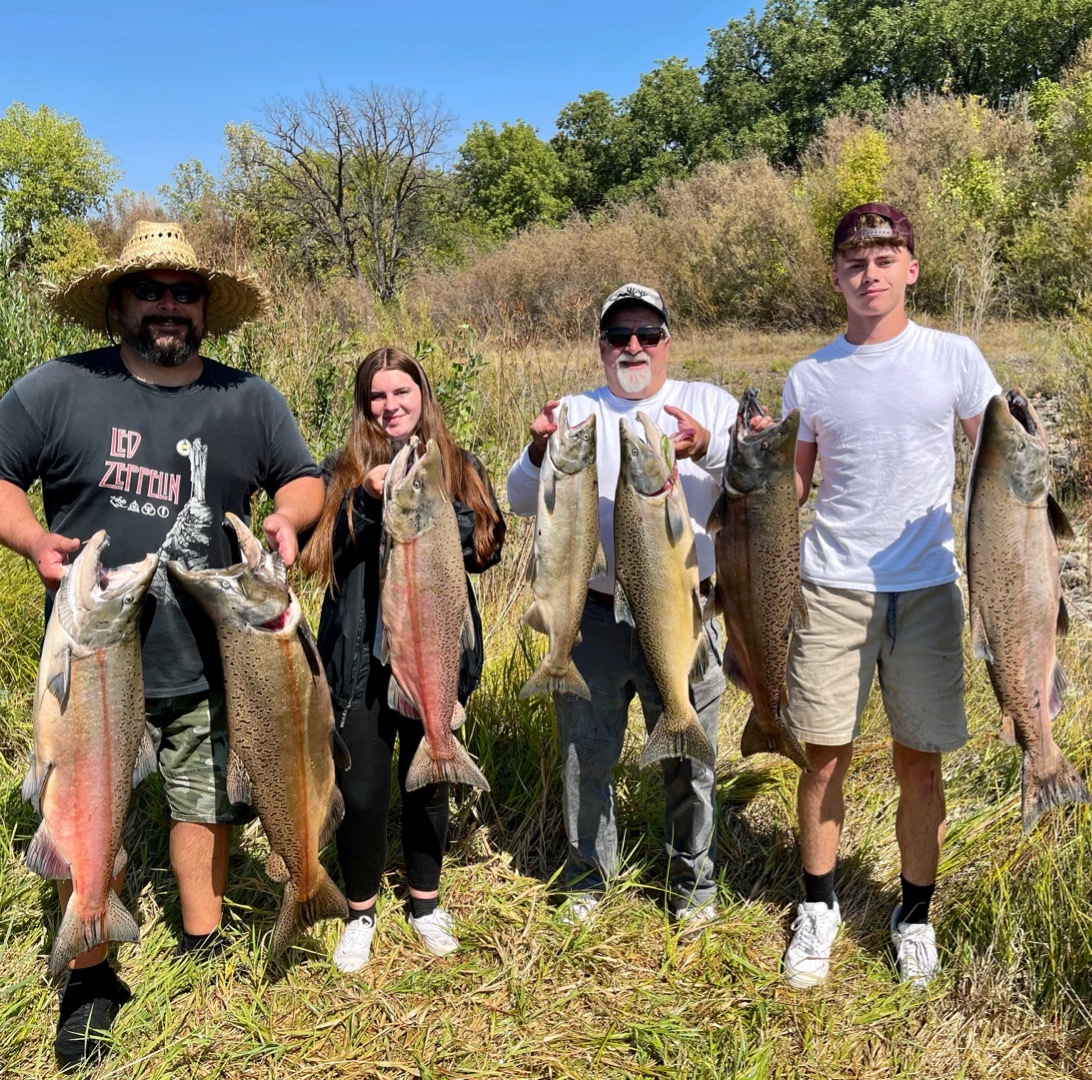 Big salmon return for the Sacramento River!