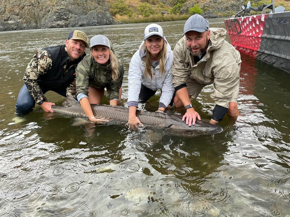 Snake River Fish Report