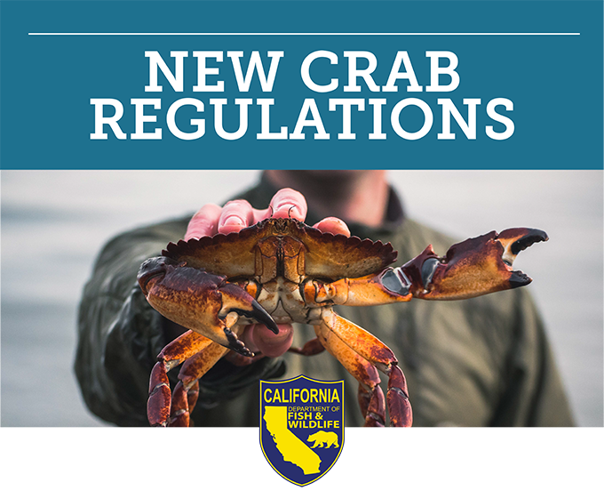 Fish Report New Crab Regulations and License Requirement