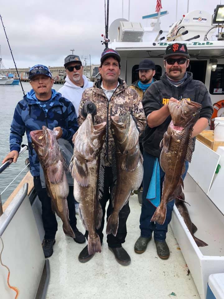 Lingcod Limits up to 26 lbs. 