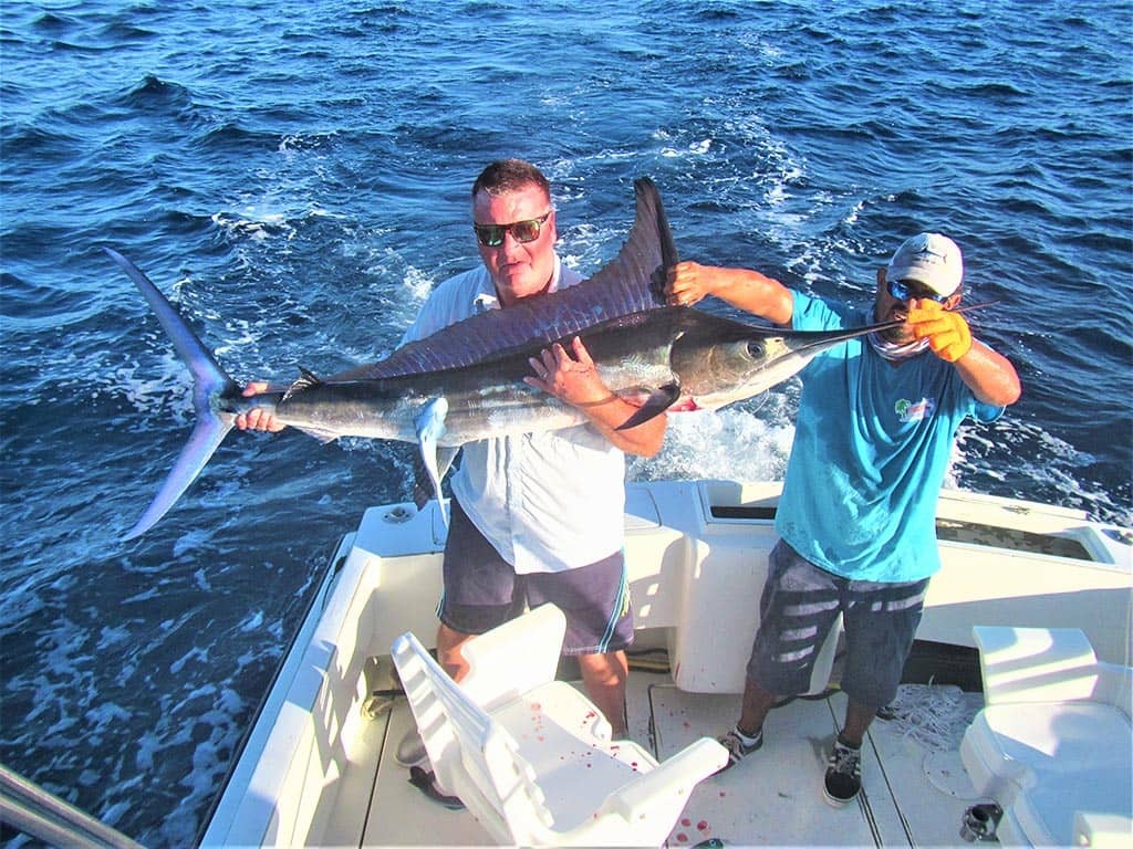 Striped Marlin up to 110 lbs. 