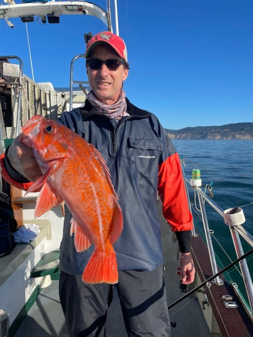 Limits of coastal rockfish 