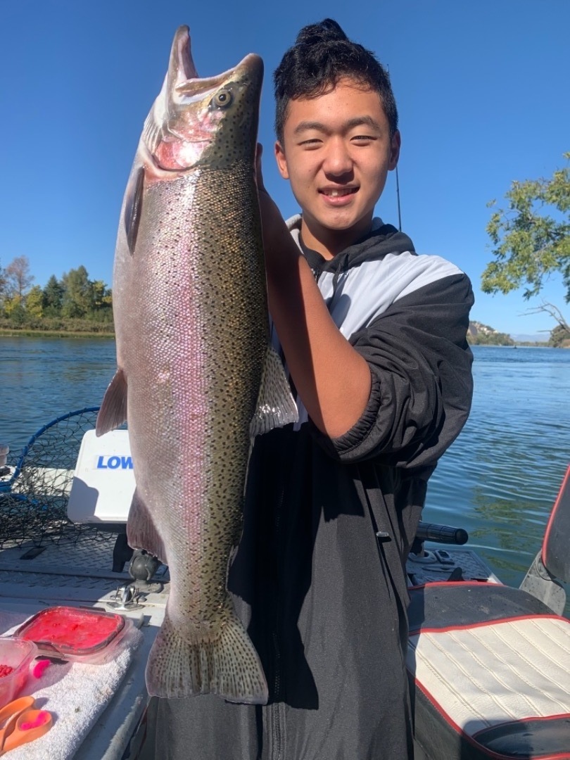 Steelhead  Fishing the Sacramento River