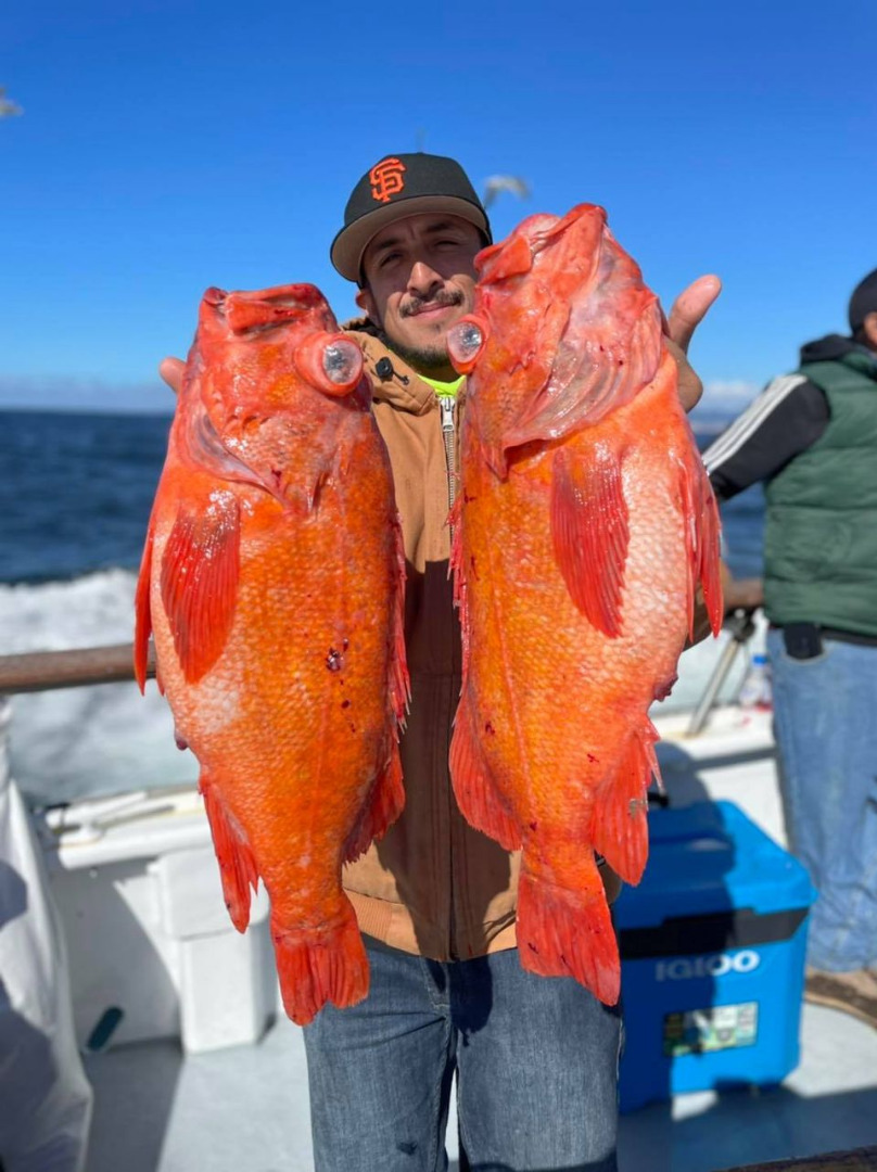 California Dawn Sportfishing Report